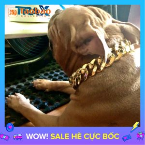 Dây Chuyền Vòng Cổ Thú Cưng Hình Chó Siêu To Dây Xích Vàng Lớn Bằng Nhựa Lông Vàng Labrador Chó Không Dây Xích Phụ Kiện   57.000 ₫