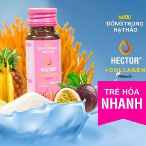 (CHÍNH HÃNG) Combo 02 hộp Đông Trùng Hạ Thảo Hector Collagen (10 chai/ hộp)    ₫1.180.000