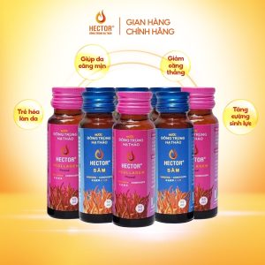 (CHÍNH HÃNG) Hộp nước Đông Trùng Hạ Thảo Hector Sâm (10 chai/ hộp)   ₫333.000
