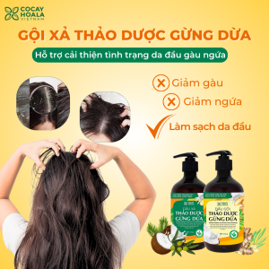 Bộ dầu gội thảo dược gừng dừa Cocayhoala sạch gàu, giảm nấm ngứa, dung tích 440g/chai- 95% thành phần từ gừng tươi hữu cơ còn nguyên xơ gừng, giảm rụng tóc, kích thích mọc tóc vượt trội- Hàng Chính Hãng   490.000 ₫