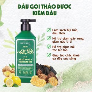 Dầu gội, dầu xả, serum thảo dược Nam Nung xanh lá hỗ trợ giảm dầu, giảm rụng, dành cho tóc nhanh bết 330.000₫